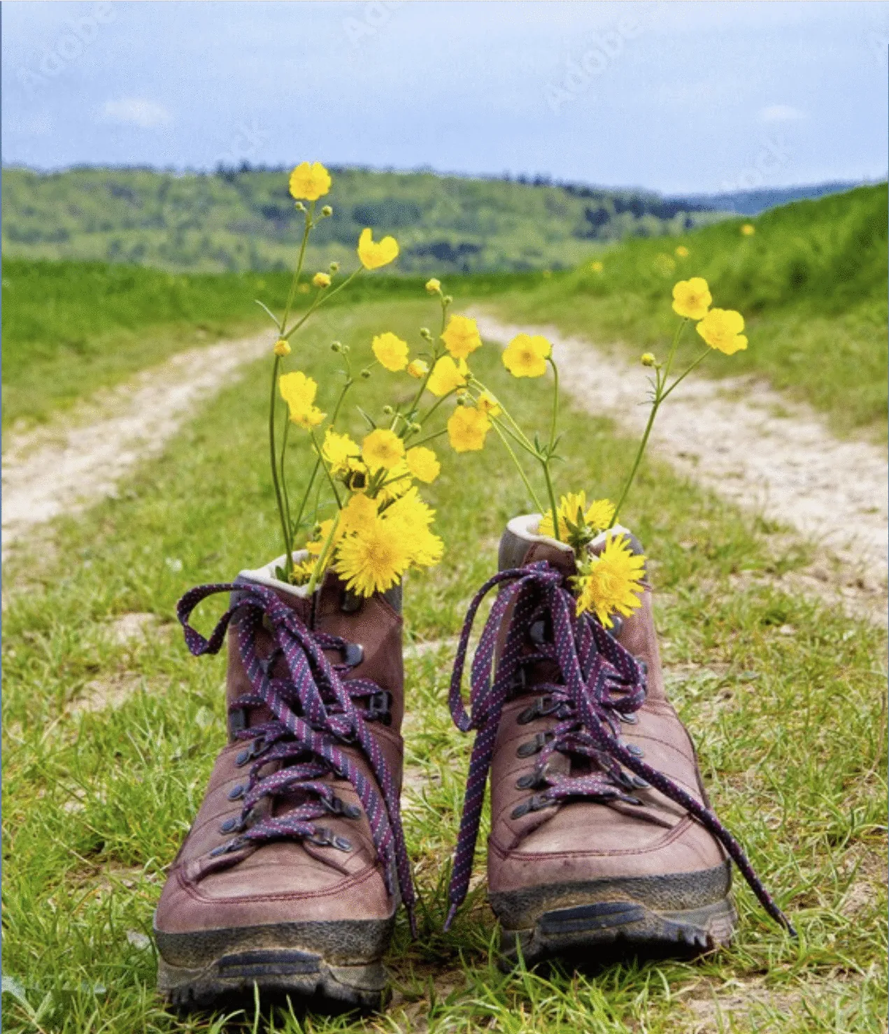 Wanderschuhe im Schwarzwald